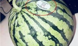 网红吃瓜刀,揭秘网络红人背后的“刀光剑影”